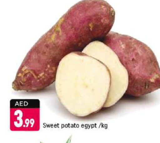 Sweet Potato from Egypt available at Shaklan  in UAE - Dubai