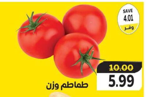 Tomato available at The Mart  in Egypt - Cairo