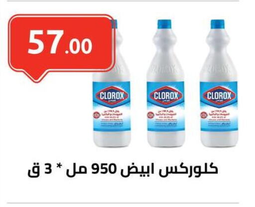 CLOROX General Cleaner available at El-Hawary Market in Egypt - Cairo