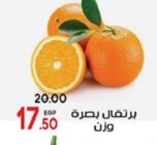 Orange available at Galhom Market in Egypt - Cairo