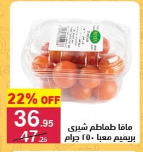 Tomato available at Mahmoud El Far in Egypt - Cairo