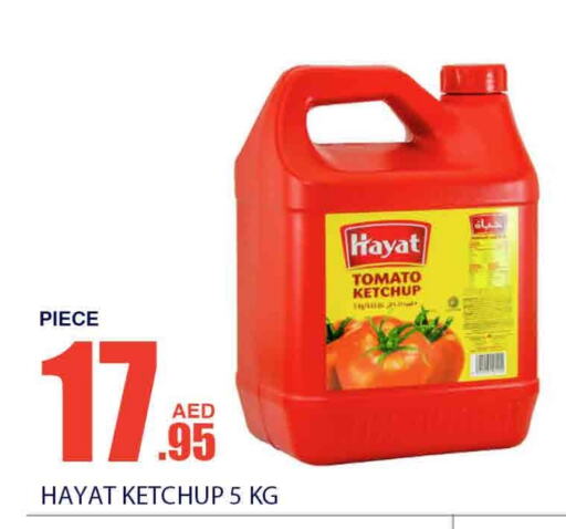 HAYAT Tomato Ketchup available at Bismi Wholesale in UAE - Dubai