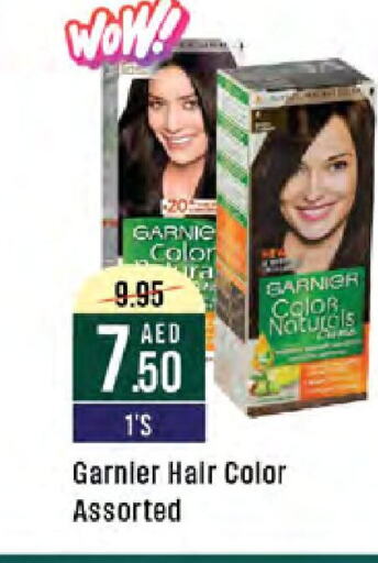 GARNIER Hair Colour available at West Zone Supermarket in UAE - Sharjah / Ajman