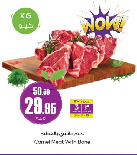 Camel meat available at Sapt in KSA, Saudi Arabia, Saudi - Buraidah