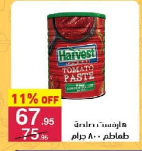 Tomato Paste available at Mahmoud El Far in Egypt - Cairo