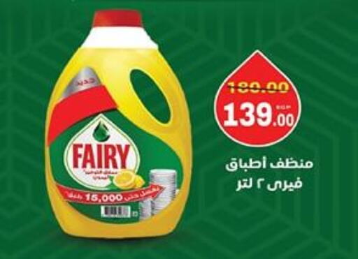 FAIRY available at Galhom Market in Egypt - Cairo