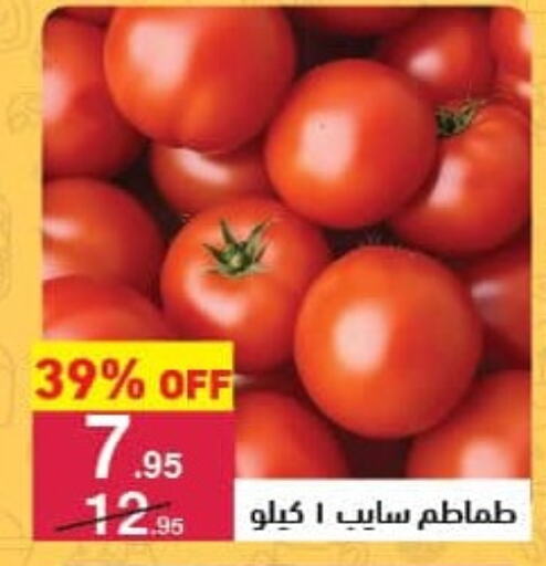 Tomato available at Mahmoud El Far in Egypt - Cairo