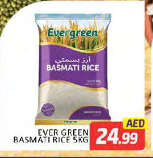 Basmati / Biryani Rice available at Al Madina  in UAE - Dubai