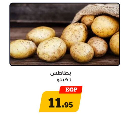 بطاطا available at أولاد رجب in Egypt - القاهرة