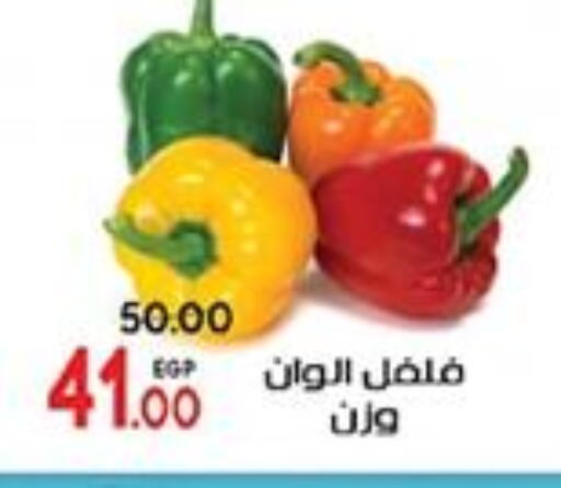 Chilli / Capsicum available at Galhom Market in Egypt - Cairo