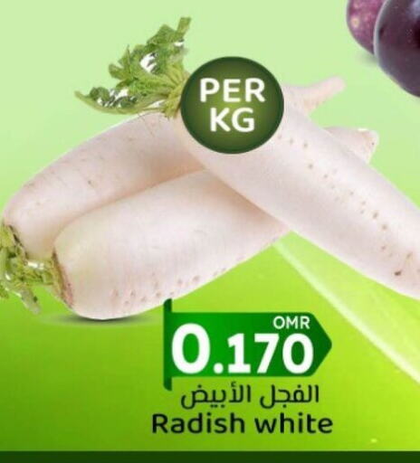 Radish available at KM Trading  in Oman - Muscat