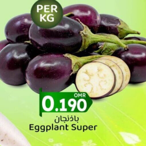 Eggplant available at KM Trading  in Oman - Muscat