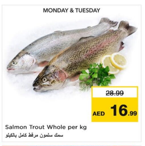 available at Nesto Hypermarket in UAE - Sharjah / Ajman