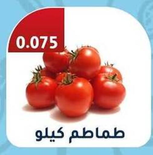 Tomato available at Al Fahaheel Co - Op Society in Kuwait - Kuwait City