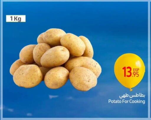 بطاطا available at كارفور in Egypt - القاهرة