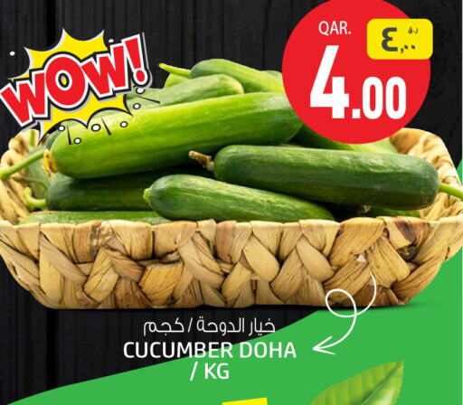 خيار from Qatar available at السعودية in قطر - الشمال