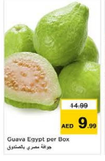 Guava from Egypt available at Nesto Hypermarket in UAE - Abu Dhabi