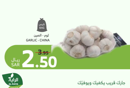 ثوم from China available at الراية in مملكة العربية السعودية, السعودية, سعودية - تبوك