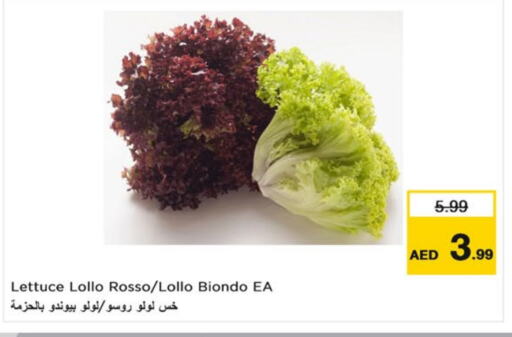 Lettuce available at نستو هايبرماركت in الإمارات العربية المتحدة , الامارات - الشارقة / عجمان