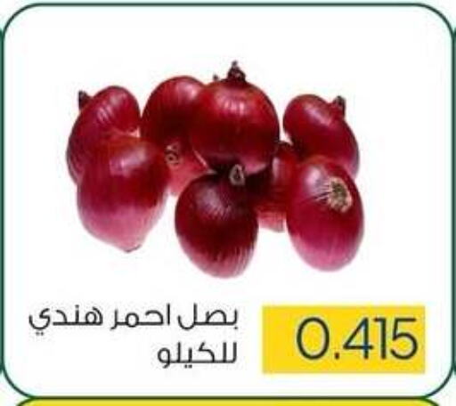 Onion available at Sabah Al Salem Co op in Kuwait - Ahmadi Governorate