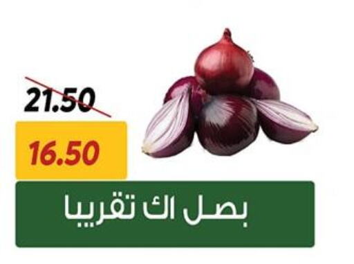 بصل available at سراى ماركت in Egypt - القاهرة