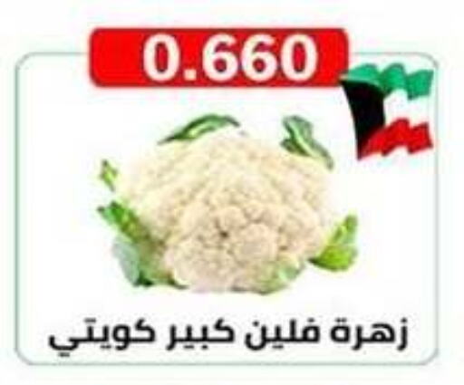 Cauliflower available at  Al Ardhiya coop  in Kuwait - Ahmadi Governorate