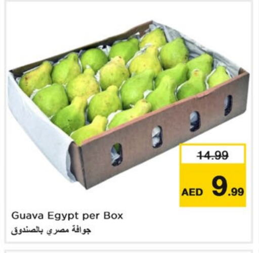 جوافة from Egypt available at نستو هايبرماركت in الإمارات العربية المتحدة , الامارات - دبي