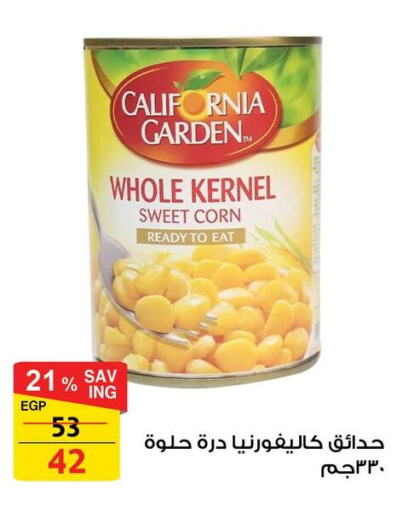 CALIFORNIA GARDEN available at Fathalla Market  in Egypt - Cairo