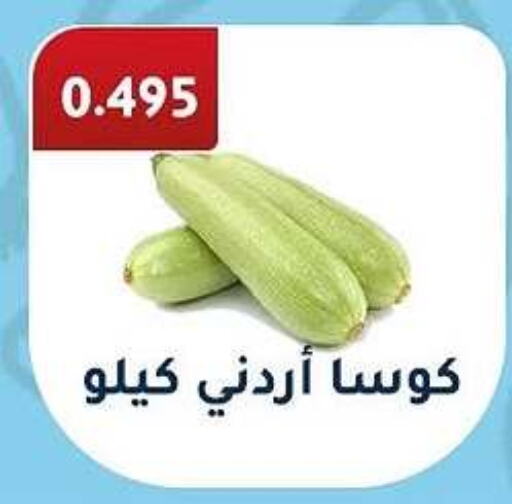 Zucchini available at Al Fahaheel Co - Op Society in Kuwait - Ahmadi Governorate