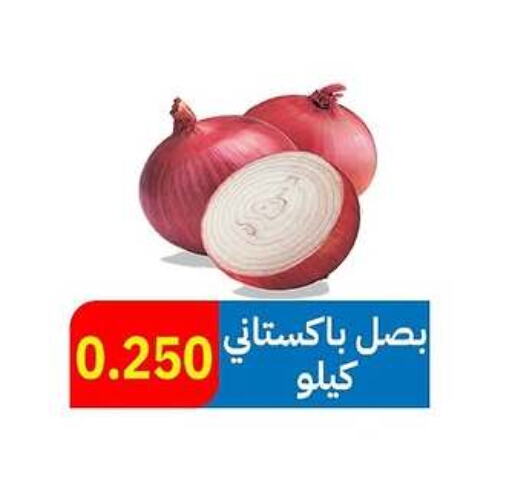 Onion available at Sabah Al-Ahmad Cooperative Society in Kuwait - Ahmadi Governorate