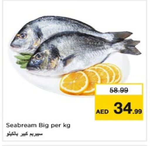 available at Nesto Hypermarket in UAE - Fujairah