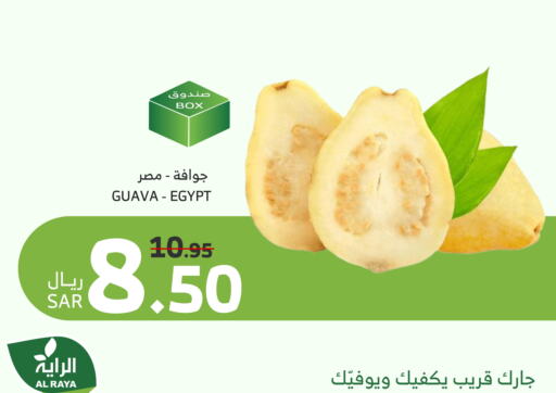 جوافة from Egypt available at الراية in مملكة العربية السعودية, السعودية, سعودية - بيشة