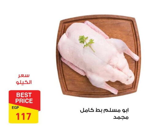 available at فتح الله in Egypt - القاهرة