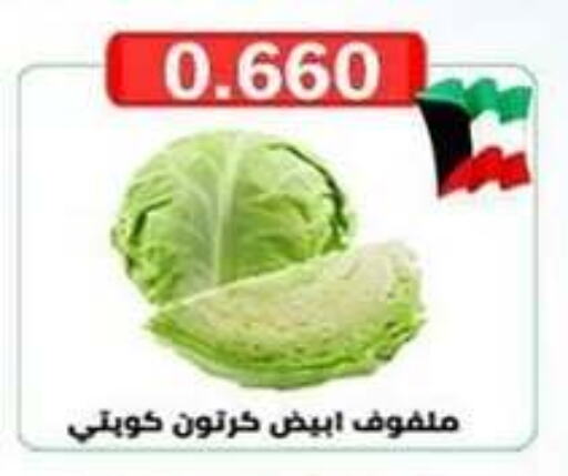 Cabbage available at  Al Ardhiya coop  in Kuwait - Ahmadi Governorate