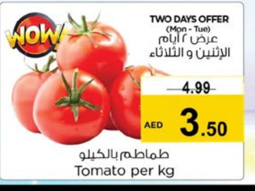 Tomato available at Nesto Hypermarket in UAE - Sharjah / Ajman