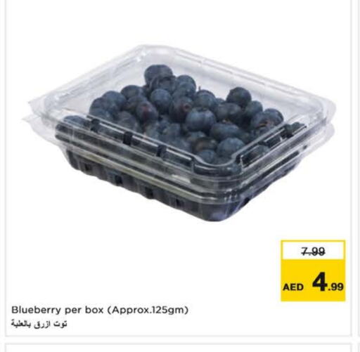 Berries available at Last Chance  in UAE - Fujairah