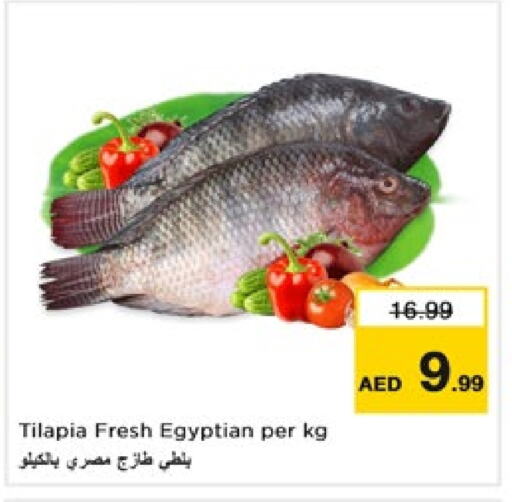 available at Nesto Hypermarket in UAE - Fujairah