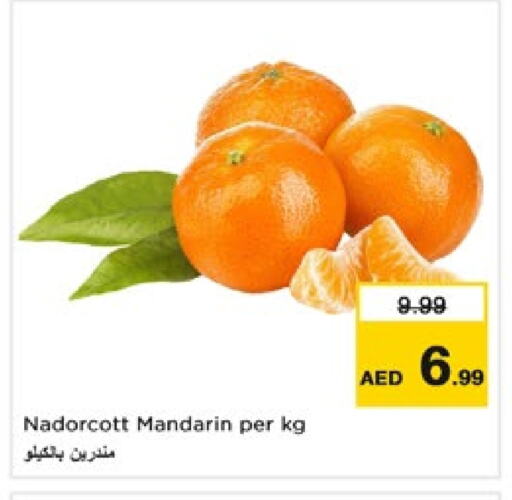 برتقال available at نستو هايبرماركت in الإمارات العربية المتحدة , الامارات - ٱلْفُجَيْرَة‎