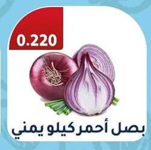 Onion available at Al Fahaheel Co - Op Society in Kuwait - Ahmadi Governorate