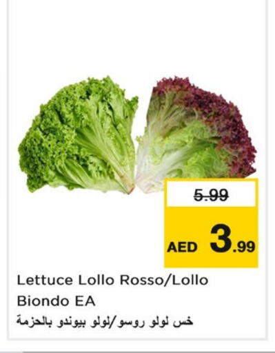 Lettuce available at Nesto Hypermarket in UAE - Sharjah / Ajman