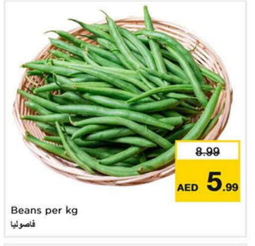 فاصوليا available at نستو هايبرماركت in الإمارات العربية المتحدة , الامارات - الشارقة / عجمان