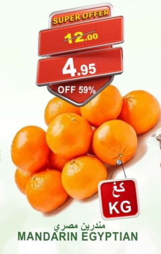 Orange from Egypt available at Khair Beladi Market in KSA, Saudi Arabia, Saudi - Yanbu