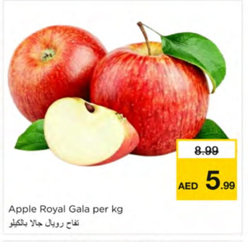 تفاح available at نستو هايبرماركت in الإمارات العربية المتحدة , الامارات - دبي