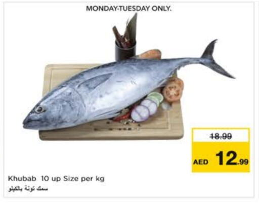 Tuna available at Nesto Hypermarket in UAE - Abu Dhabi