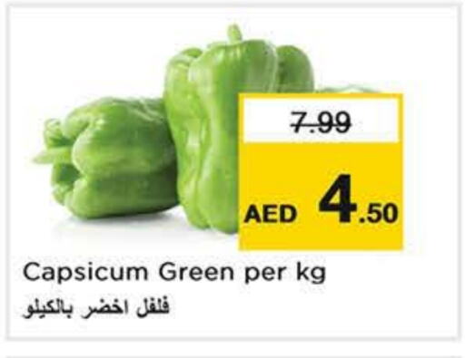 Chilli / Capsicum available at Nesto Hypermarket in UAE - Al Ain