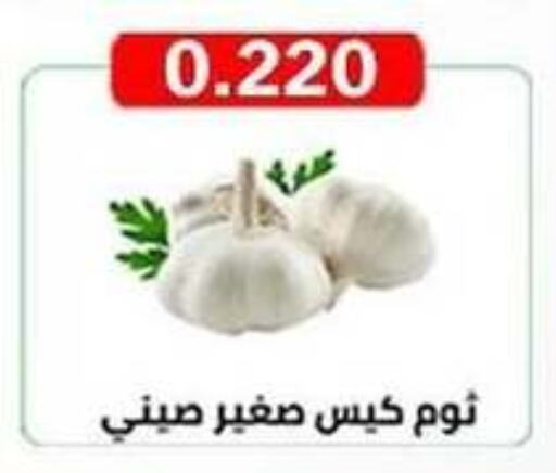 Garlic available at  Al Ardhiya coop  in Kuwait - Ahmadi Governorate