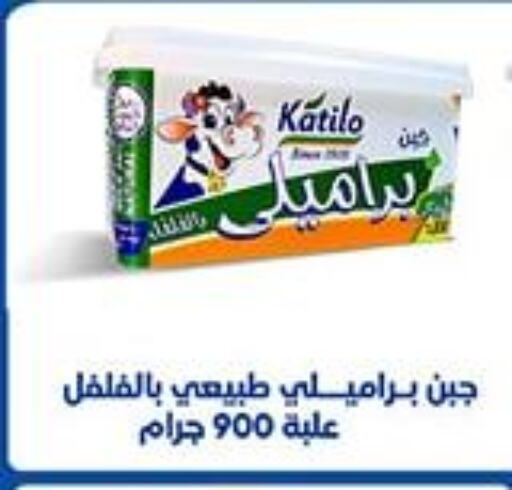 KATILO available at Sarai Market  in Egypt - Cairo