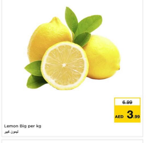 Lemon available at لاست تشانس in الإمارات العربية المتحدة , الامارات - ٱلْفُجَيْرَة‎