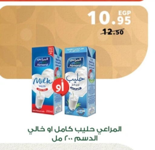 ALMARAI available at Panda  in Egypt - Cairo