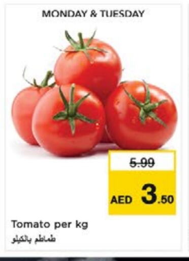 Tomato available at Nesto Hypermarket in UAE - Sharjah / Ajman